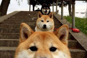 华体会-史密斯稳扎稳打掌控比赛节奏，史密斯足球