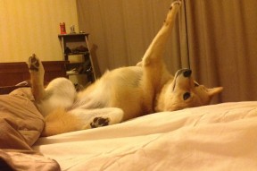 华体会官网-中国足球国家队完善后勤保障和数据追踪体系，中国国家足球队后卫