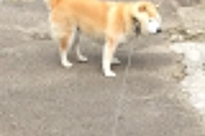 华体会平台-法国混合接力团队展现年轻活力，法国混合双打队员