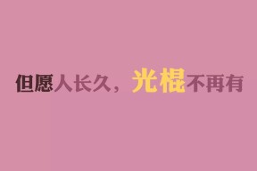 华体会app登入-中国篮球职业联赛球队战术体系优化及创新研究，篮球联赛战术中文版