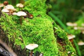 华体会官方网站-体育场馆智能化管理系统上线运行，体育场馆智能化系统包含哪些