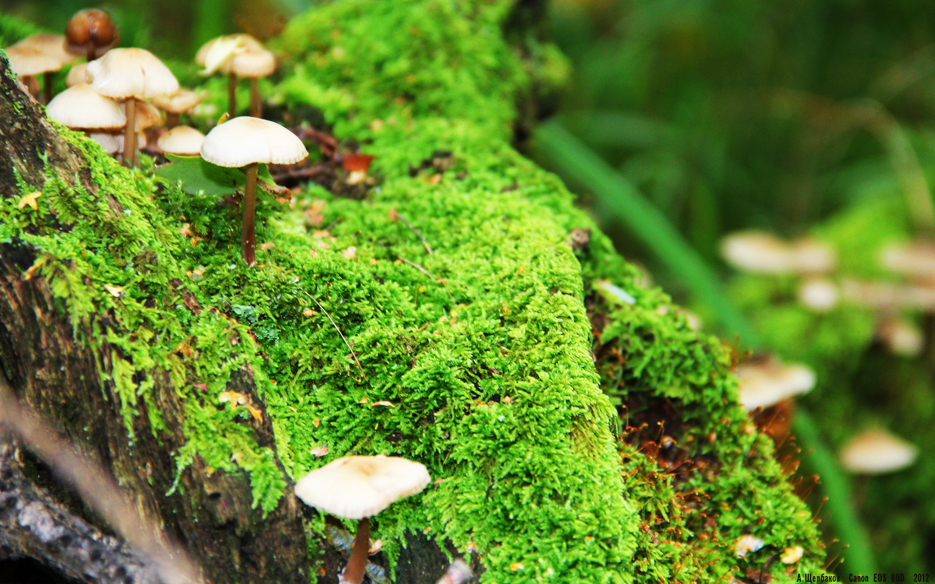 高校体育专业发展趋势预测与对策，高校体育发展现状