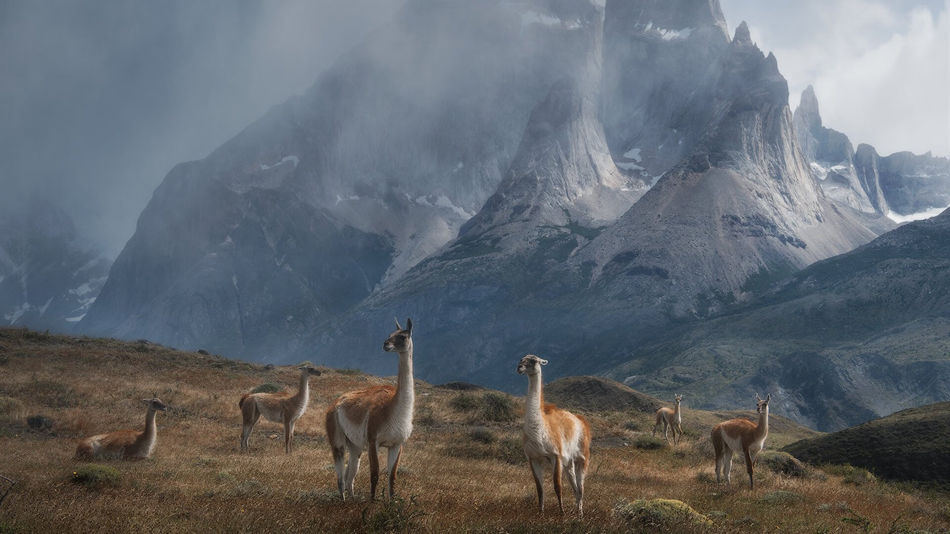 CBA赛季赛事精彩纷呈 球迷热情高涨,cba 20202021赛季时刻表