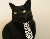 “六人制袋棍球:成都七中东部赛场精彩对抗,观众热血沸腾”