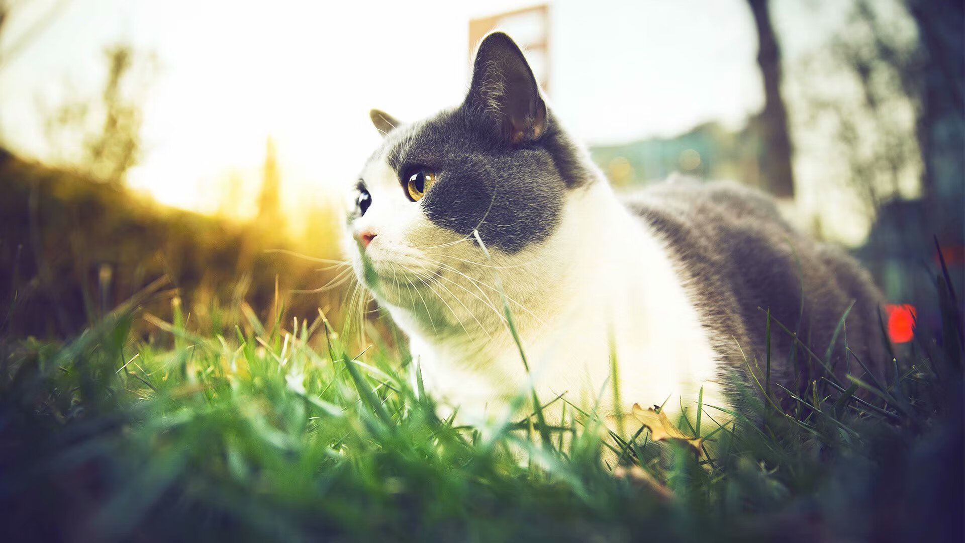 中国女篮在高强度比赛中保持体能优势,中国女篮体能训练