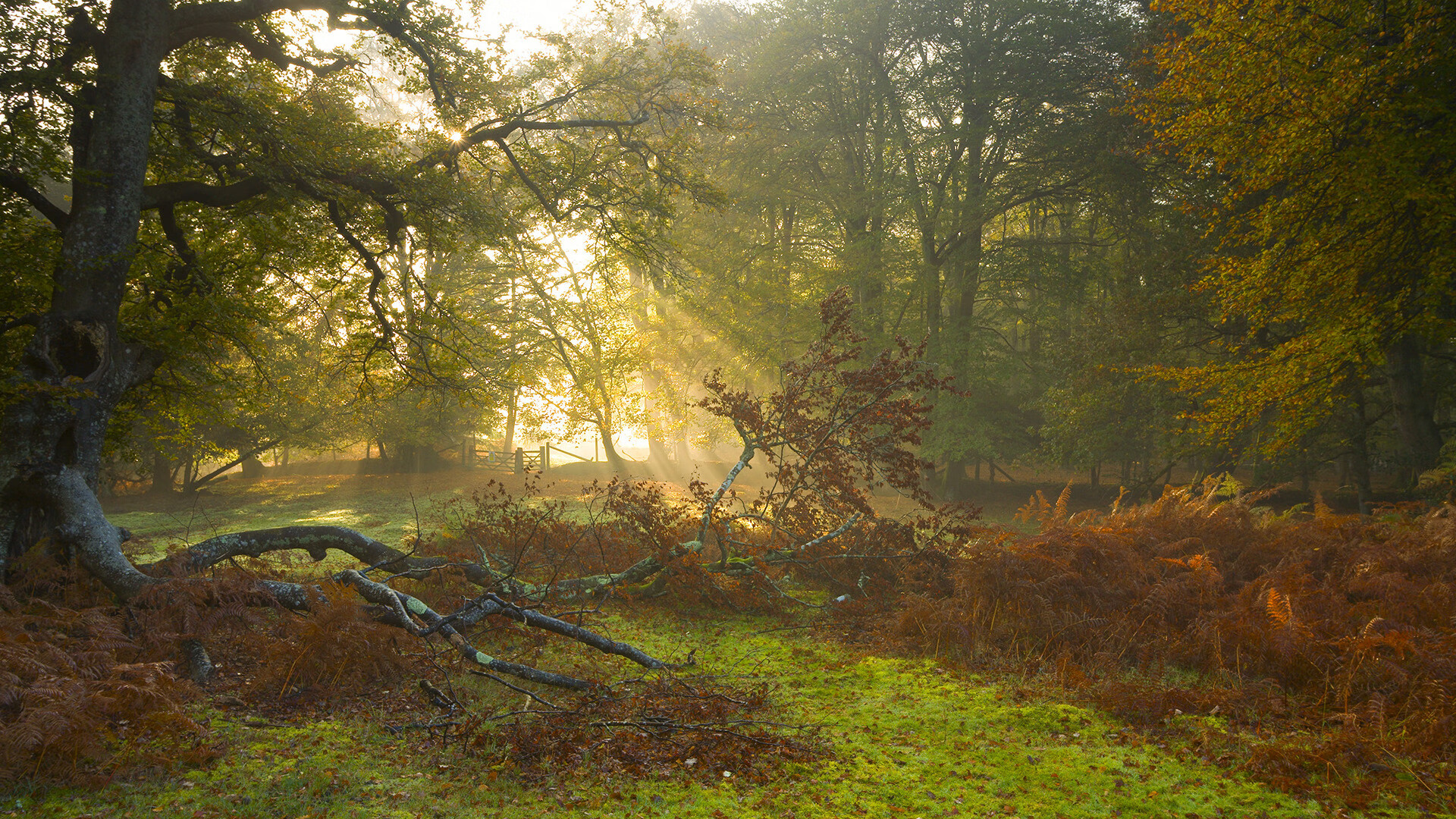 体育新闻中心发布体育赛事内容原创度监测工具,原创体育下载安卓