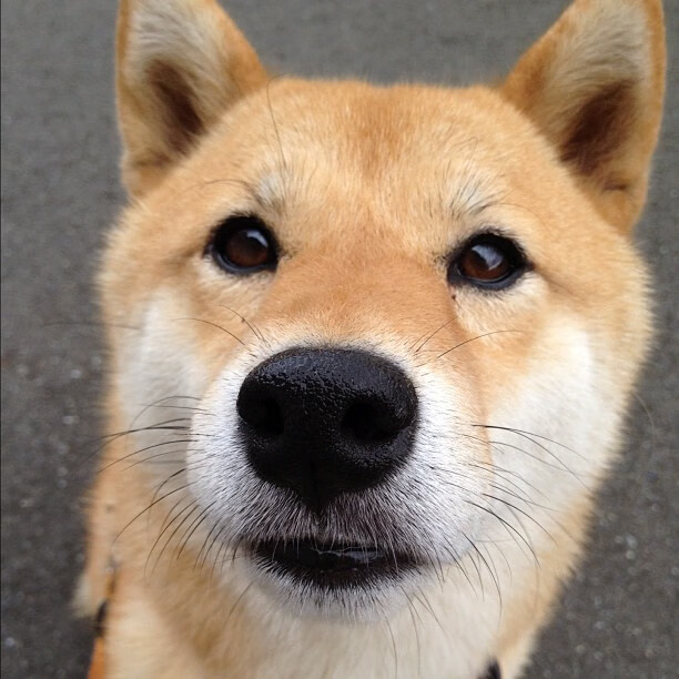 全国高校体育教师培训班开班聚焦实践教学,2021年全国体育教师培训