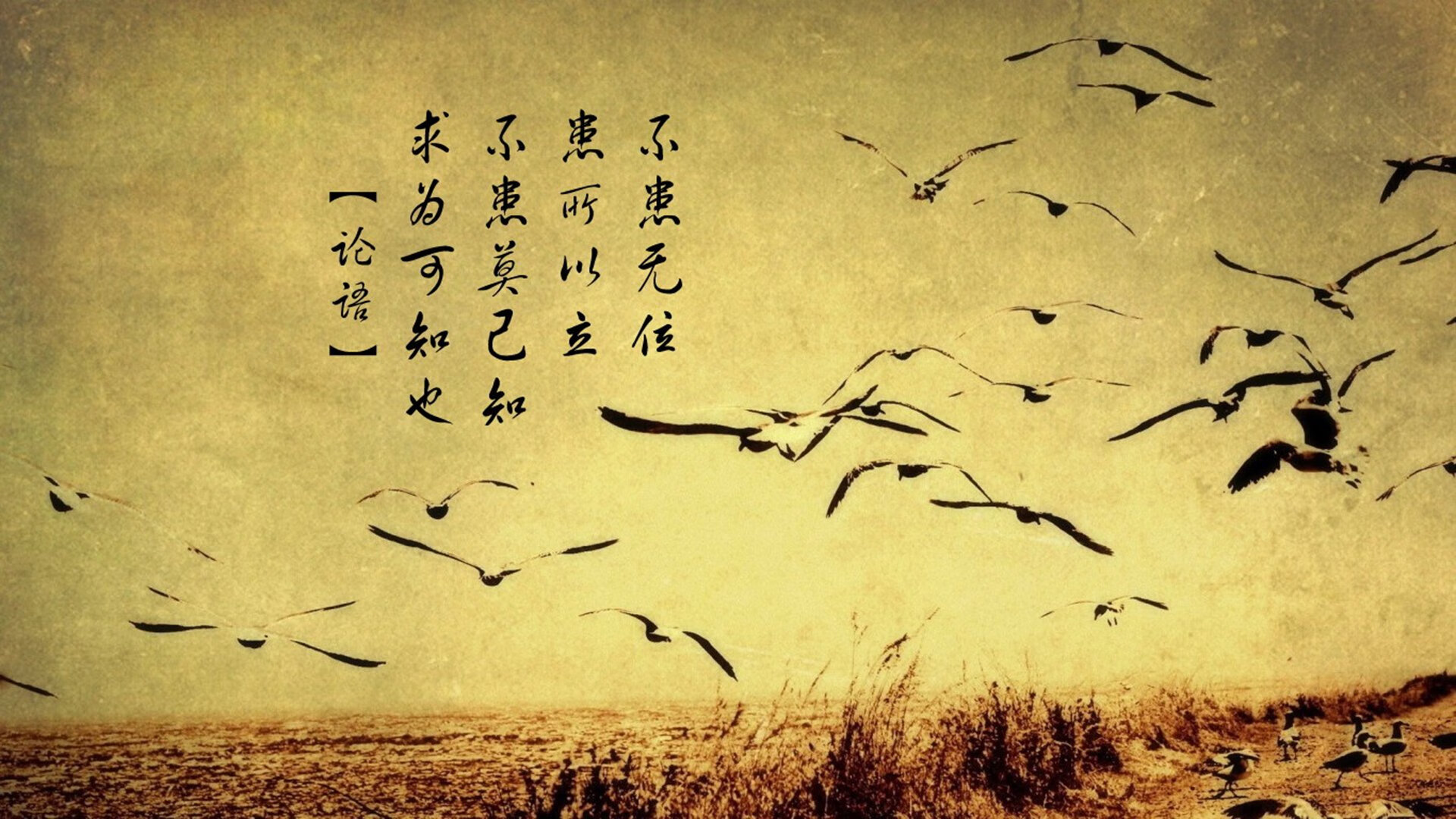 联盟最擅长应对压迫防守的控卫盘点,联盟防守效率