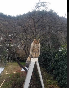 赵睿三分手感火热广东队状态回暖,赵睿是广东青训出来的吗