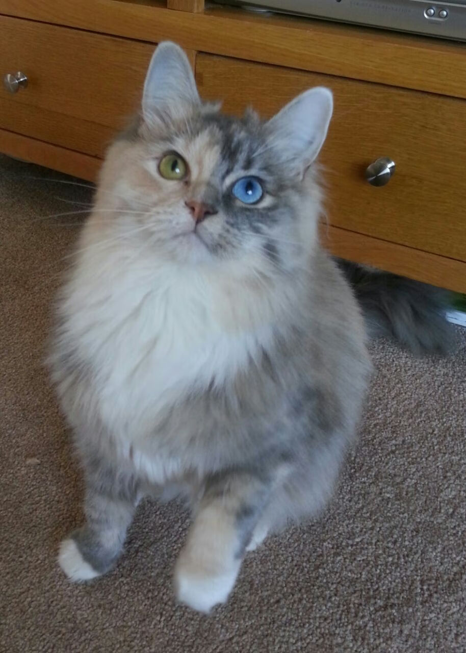 转换进攻中节奏节省时间是否一定等于高效,节奏转换的形式