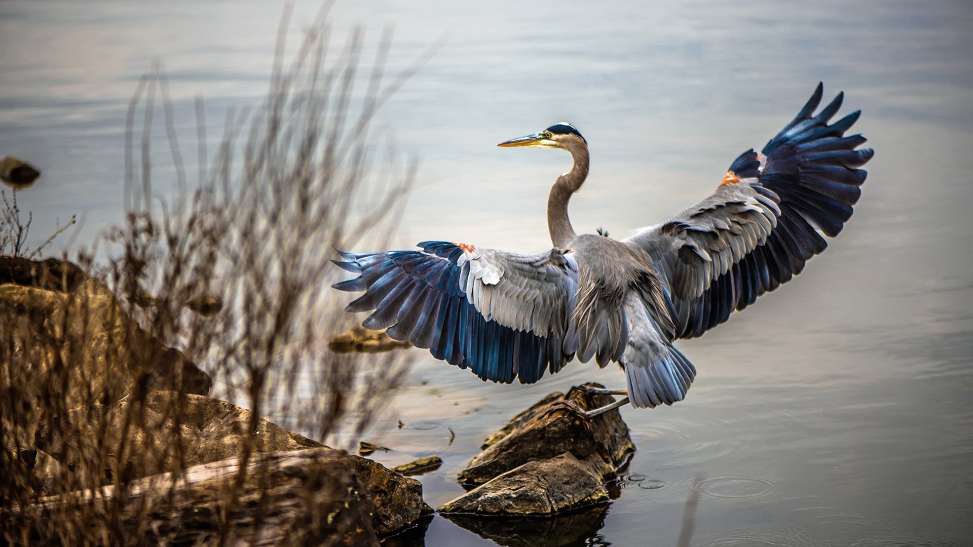 体育新闻中心黑马表现分析,体育新闻的网站