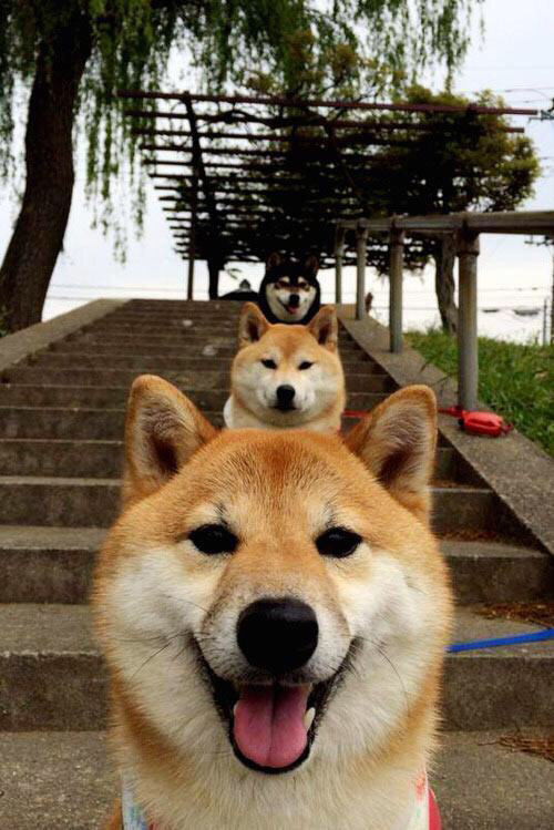 史密斯稳扎稳打掌控比赛节奏,史密斯足球