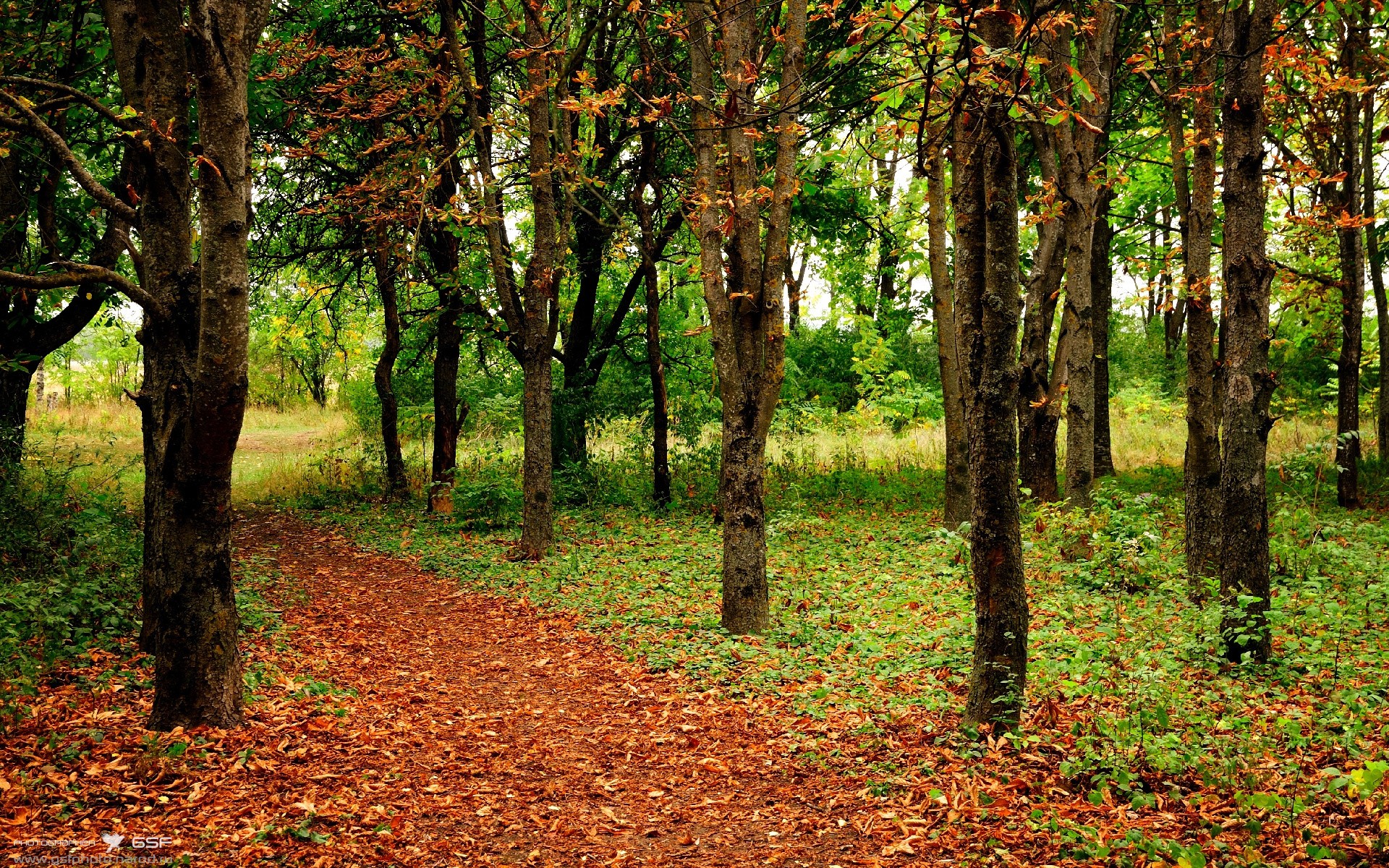 坦桑尼亚男篮在非洲锦标赛中强势崛起,未来可期