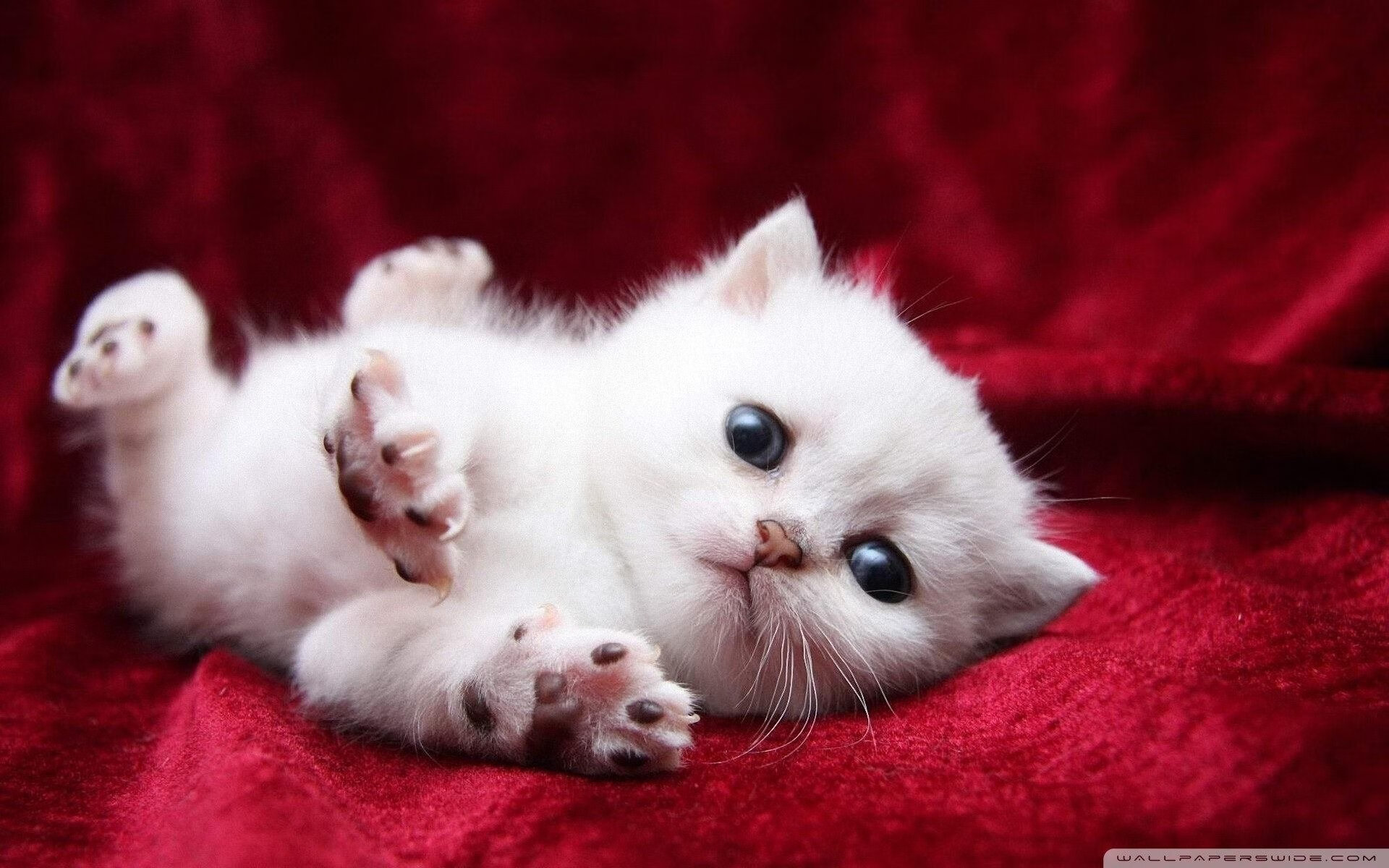 开场五分钟进球改变比赛走势打乱对方布置节奏,开场15分钟进球数什么意思