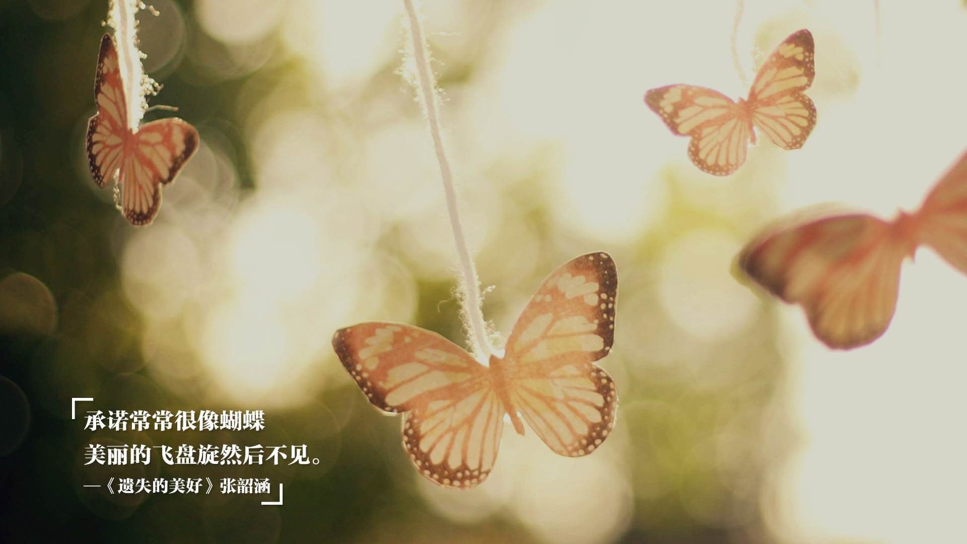 德甲激情碰撞:攻守转换精彩纷呈!,德甲官方解说