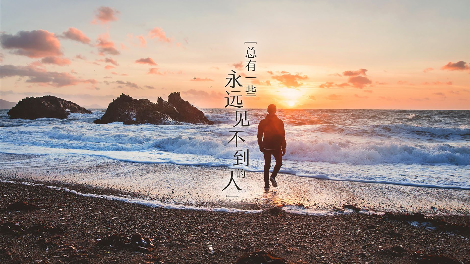 新西兰男队如何保持在全球橄榄球中的竞争优势?,新西兰橄榄球队服