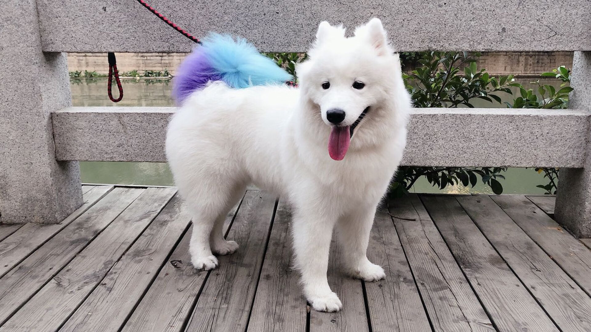 荷兰队在欧洲预赛中继续保持优异表现