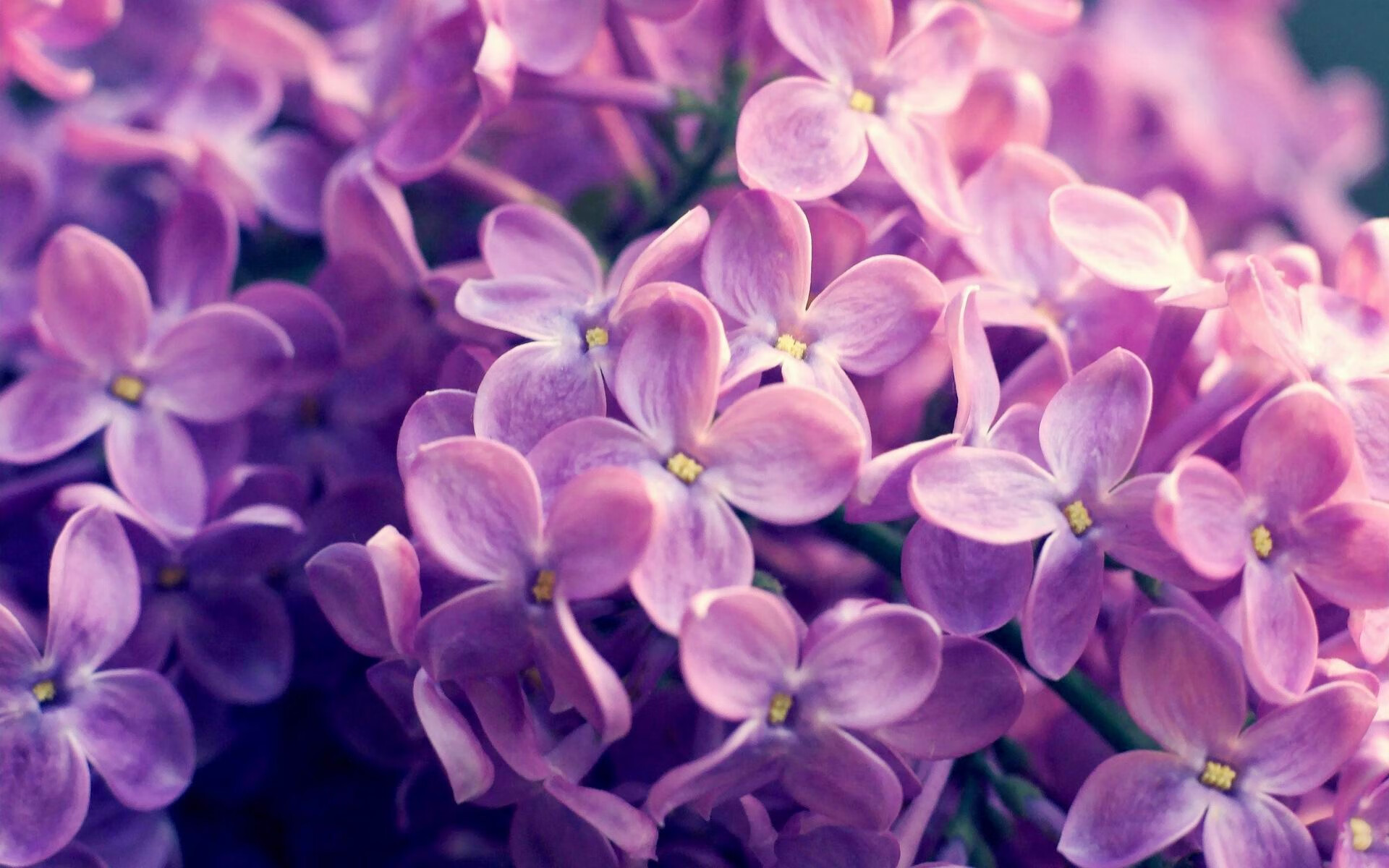 中国篮球与高校科研项目的结合成果,中国篮球与高校科研项目的结合成果包括