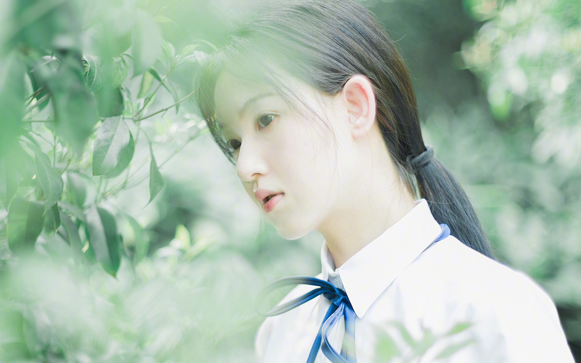 中国篮球与高校科研项目的结合成果,中国篮球与高校科研项目的结合成果包括