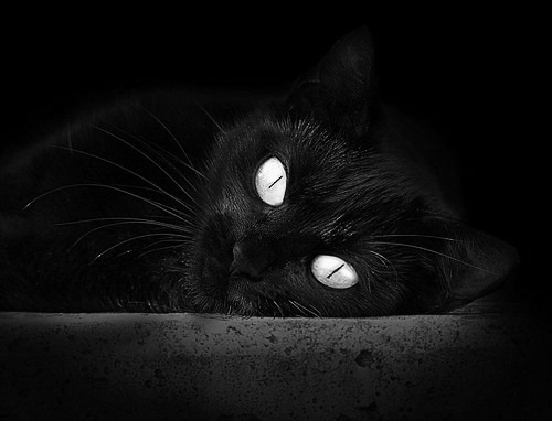 中国药企影响不大,国产替代价值再被看见,国内药业