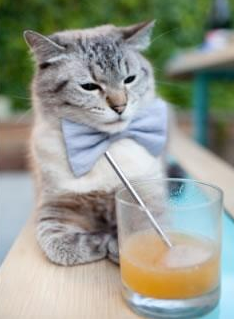 中国足球需要怎样的土壤，我国足球怎么样